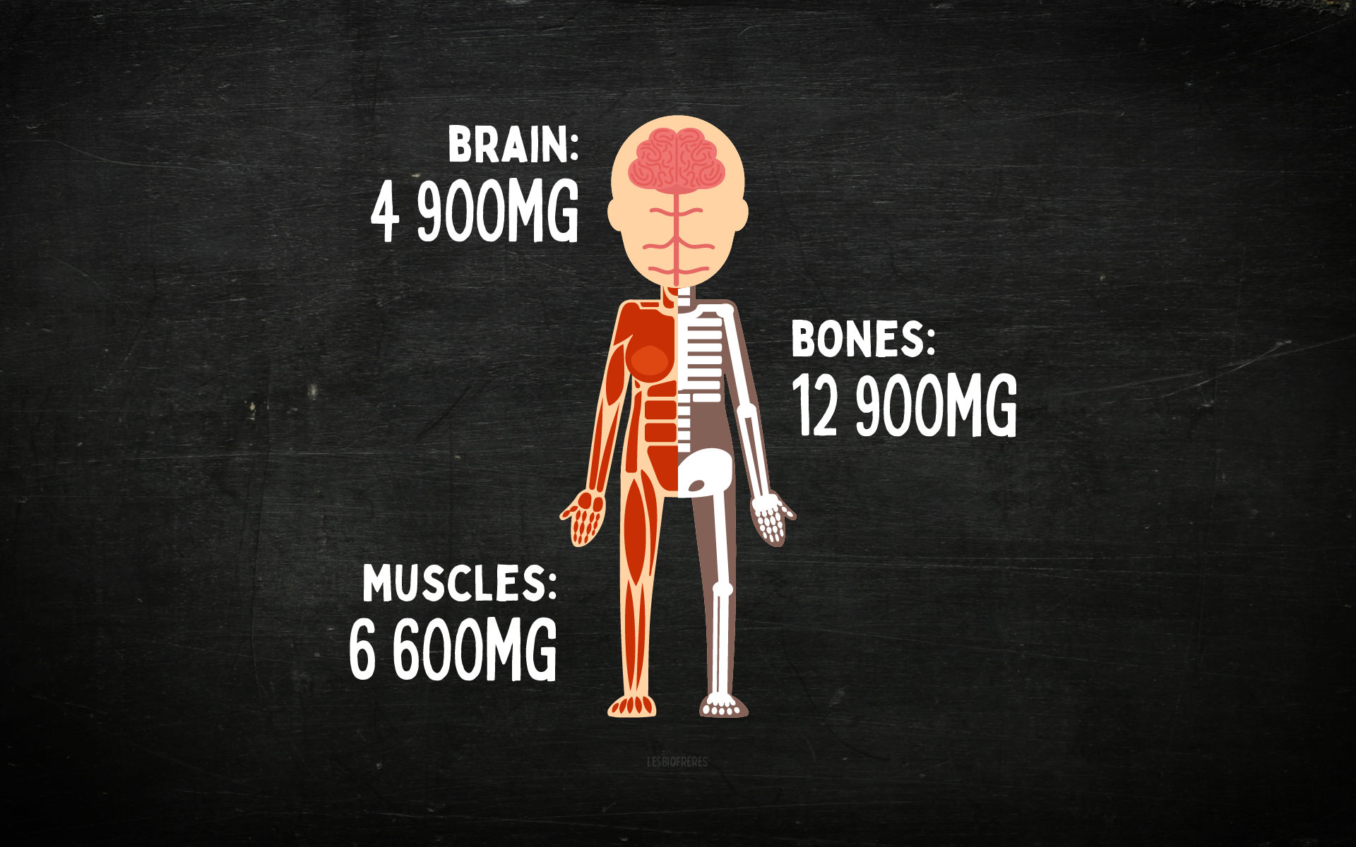 Magnesium a short guide