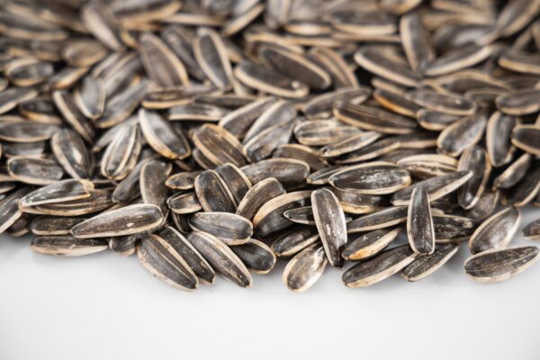 La poudre de graines de tournesol source naturelle de vitamine B8